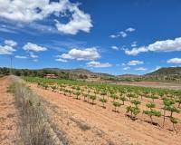 Revente - Grond - Pinoso  - Pinoso