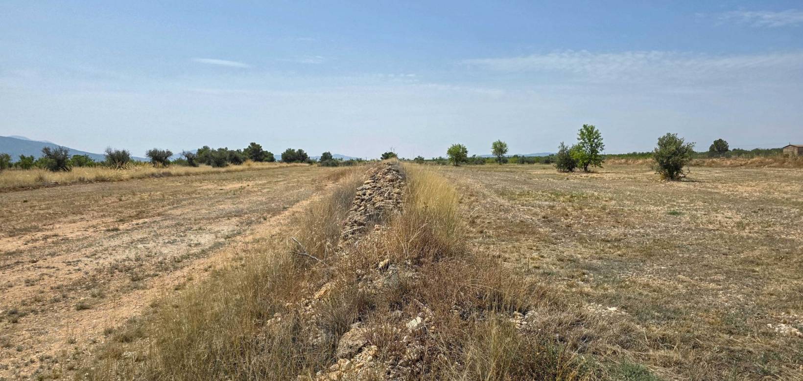 Revente - Grond - Pinoso  - Pinoso