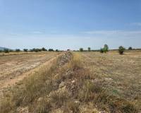 Revente - Grond - Pinoso  - Pinoso