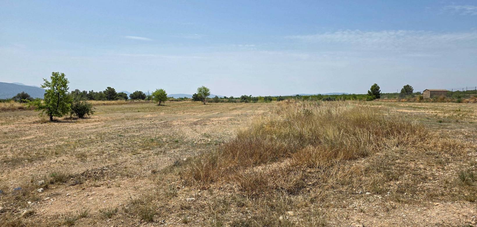 Revente - Grond - Pinoso  - Pinoso