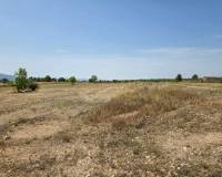 Revente - Grond - Pinoso  - Pinoso