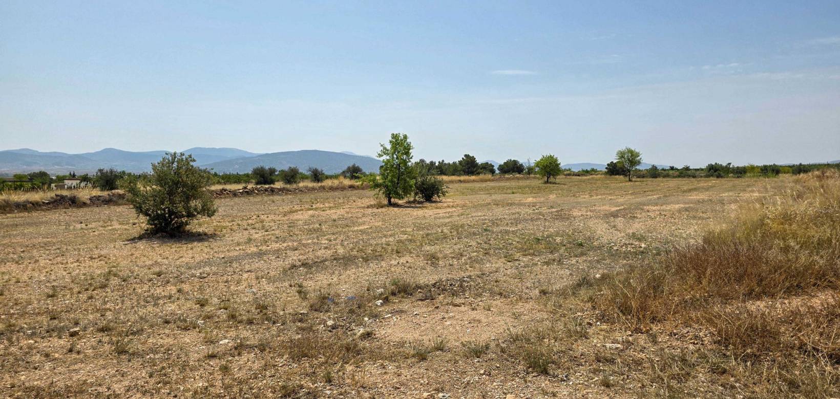 Revente - Grond - Pinoso  - Pinoso