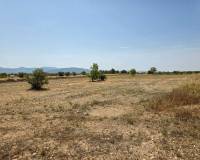 Revente - Grond - Pinoso  - Pinoso