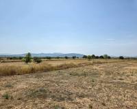 Revente - Grond - Pinoso  - Pinoso