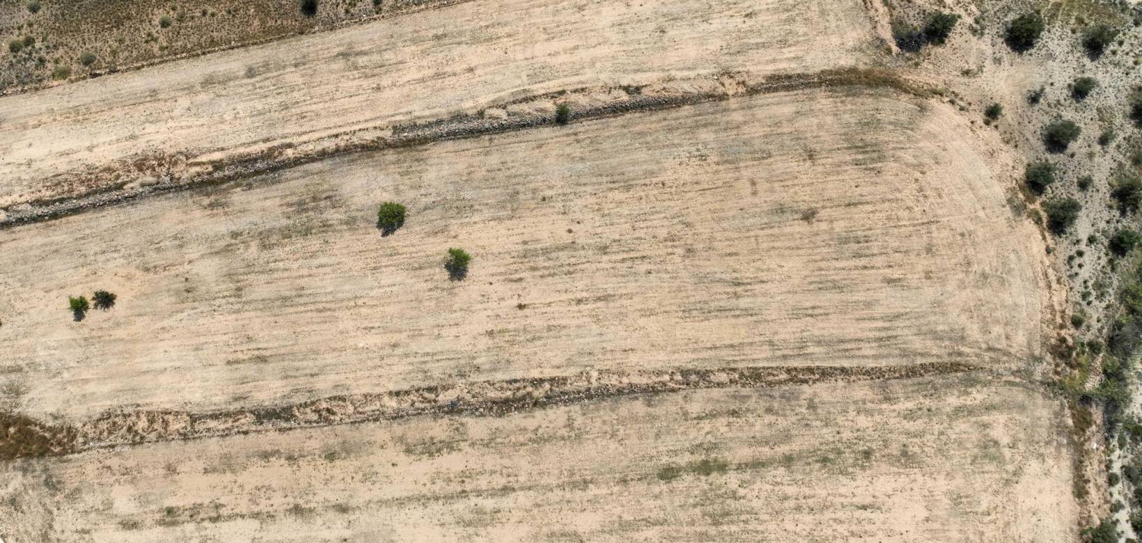 Revente - Grond - Pinoso  - Pinoso