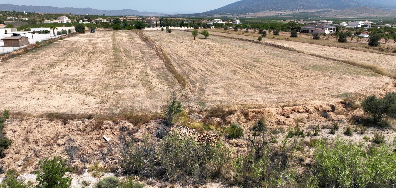 Revente - Grond - Pinoso  - Pinoso