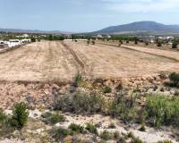 Revente - Grond - Pinoso  - Pinoso