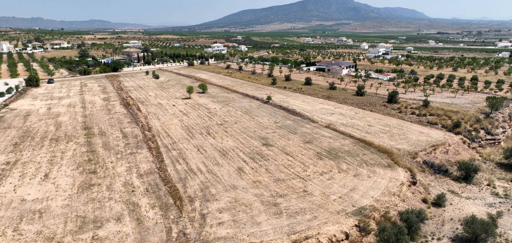 Revente - Grond - Pinoso  - Pinoso