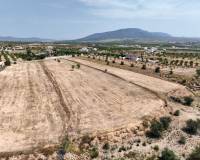 Revente - Grond - Pinoso  - Pinoso