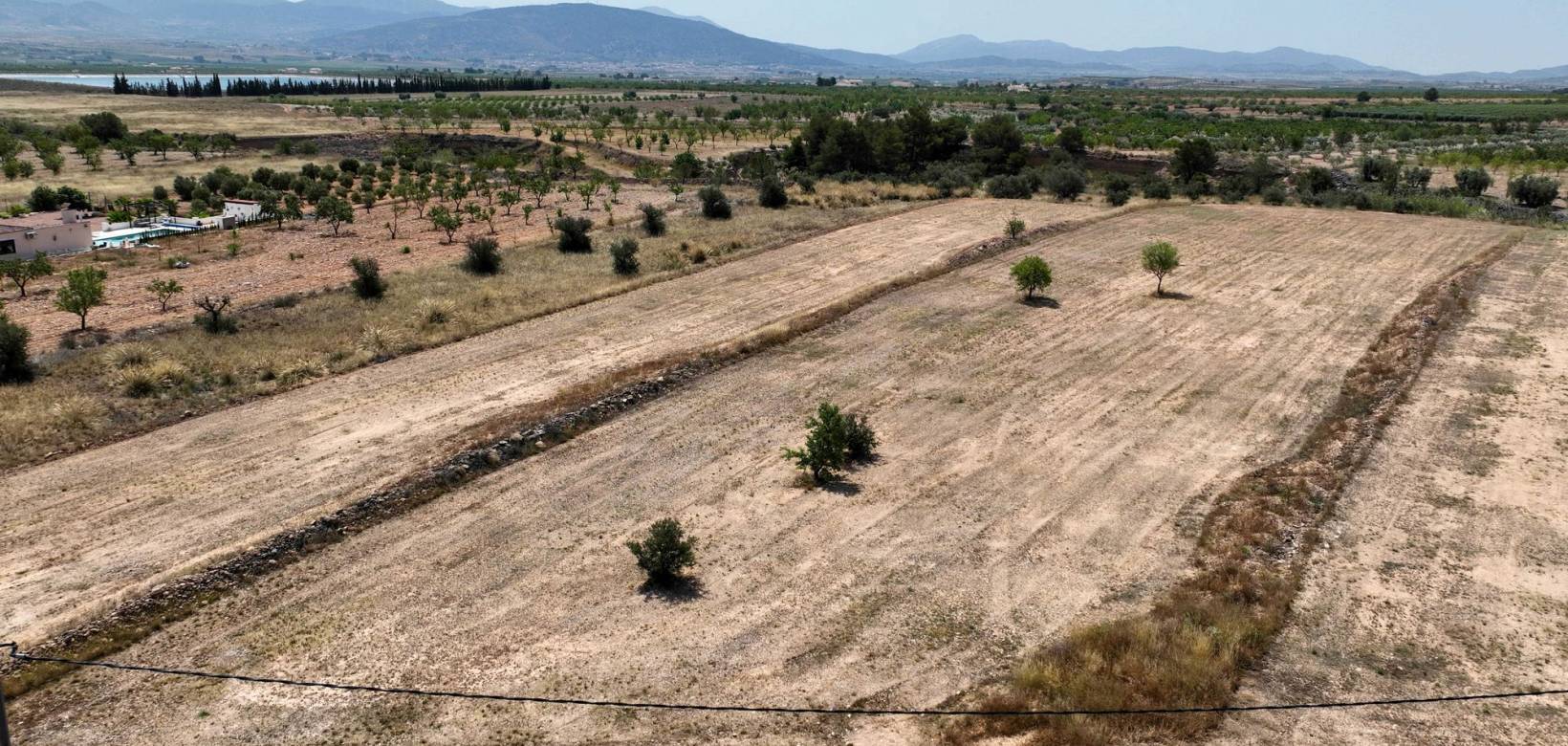 Revente - Grond - Pinoso  - Pinoso