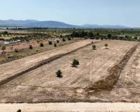 Revente - Grond - Pinoso  - Pinoso