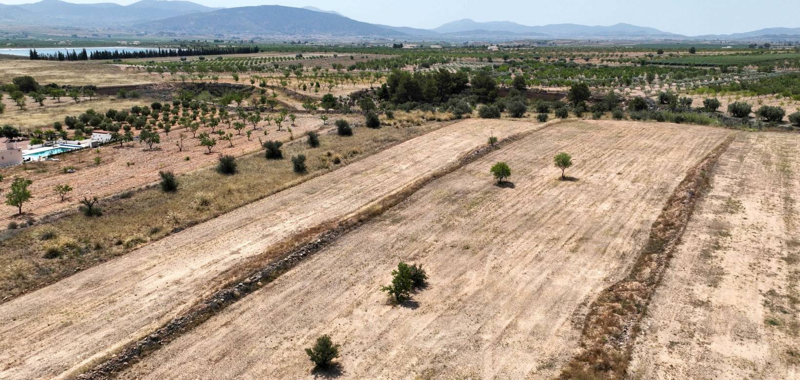 Revente - Grond - Pinoso  - Pinoso