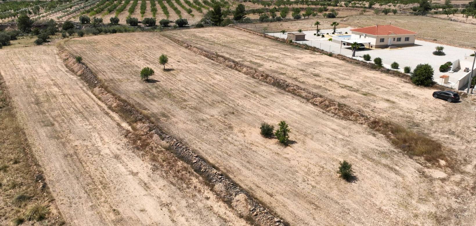 Revente - Grond - Pinoso  - Pinoso