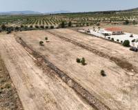 Revente - Grond - Pinoso  - Pinoso