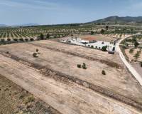 Revente - Grond - Pinoso  - Pinoso