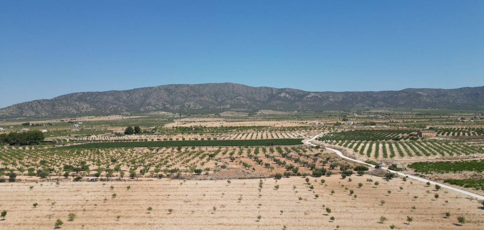 Revente - Grond - Pinoso  - Pinoso