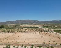 Revente - Grond - Pinoso  - Pinoso