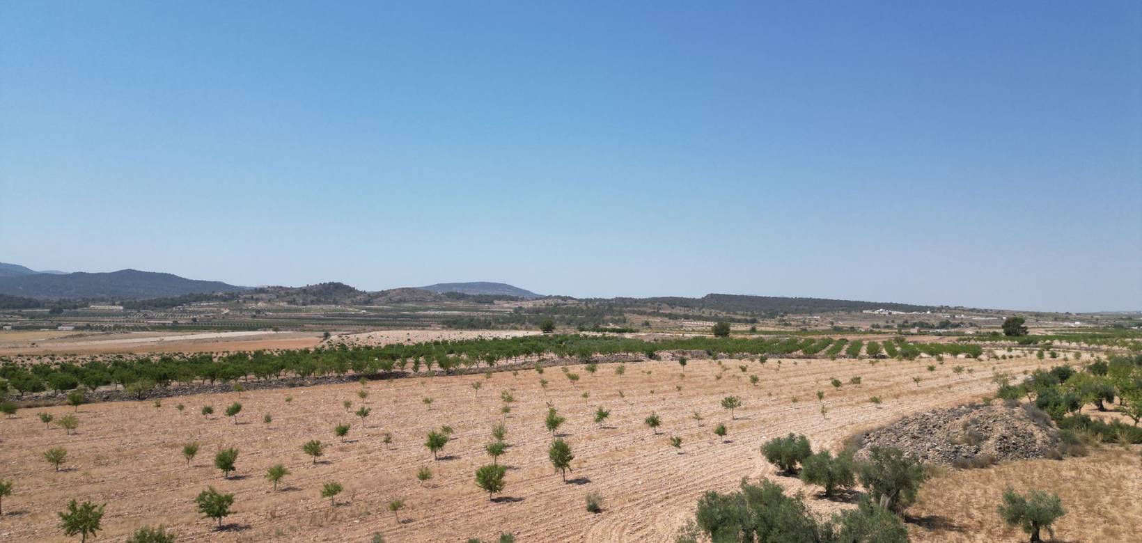 Revente - Grond - Pinoso  - Pinoso