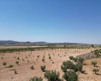 Revente - Grond - Pinoso  - Pinoso