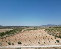 Revente - Grond - Pinoso  - Pinoso