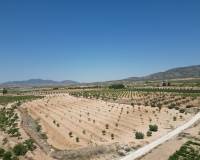 Revente - Grond - Pinoso  - Pinoso