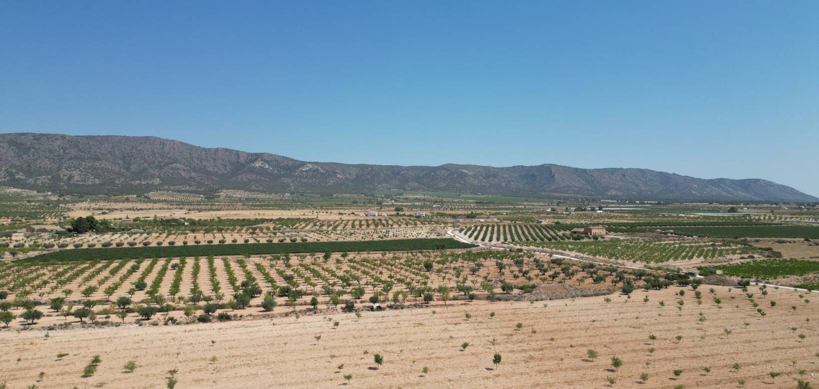 Revente - Grond - Pinoso  - Pinoso