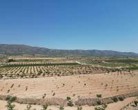 Revente - Grond - Pinoso  - Pinoso