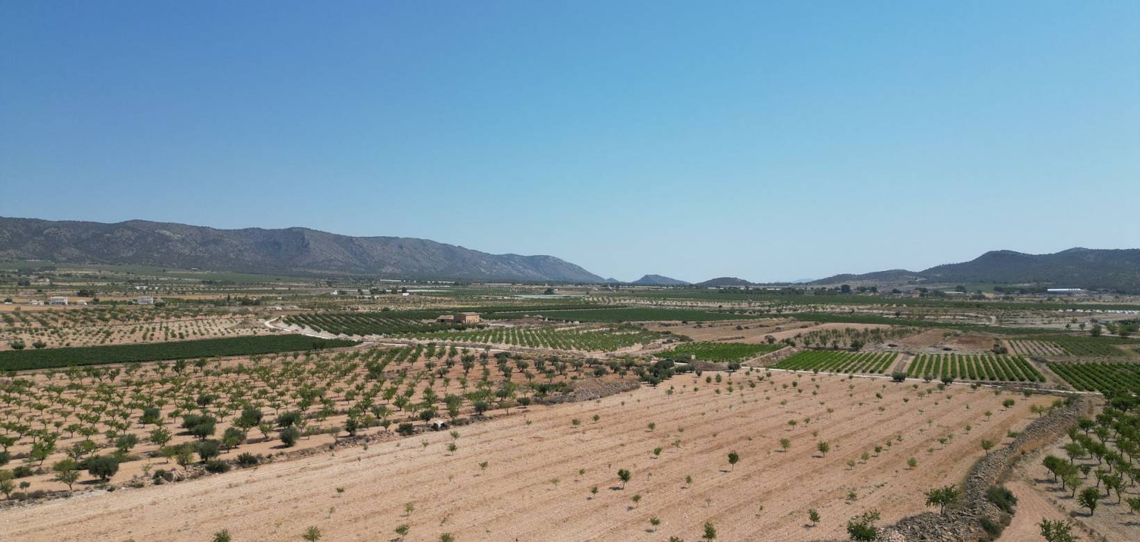 Revente - Grond - Pinoso  - Pinoso