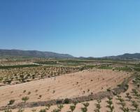 Revente - Grond - Pinoso  - Pinoso