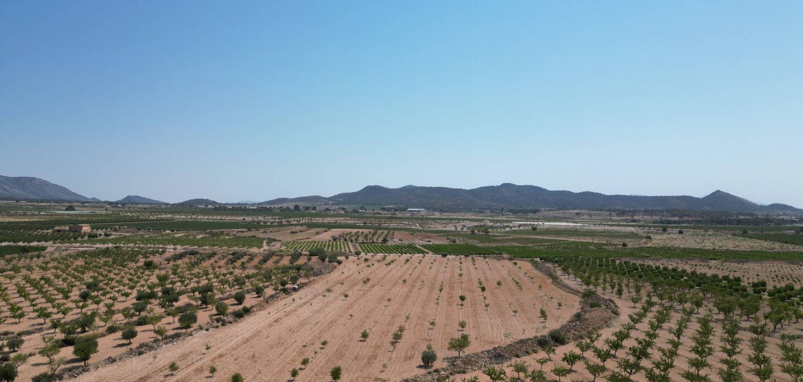 Revente - Grond - Pinoso  - Pinoso