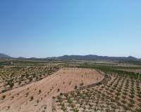 Revente - Grond - Pinoso  - Pinoso