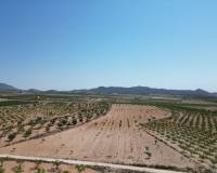 Revente - Grond - Pinoso  - Pinoso