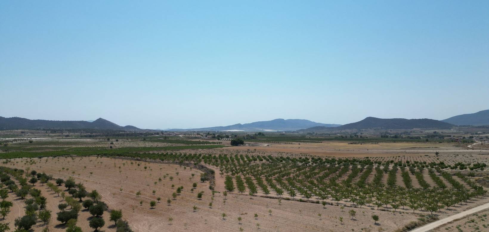 Revente - Grond - Pinoso  - Pinoso