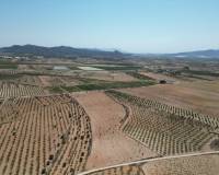 Revente - Grond - Pinoso  - Pinoso