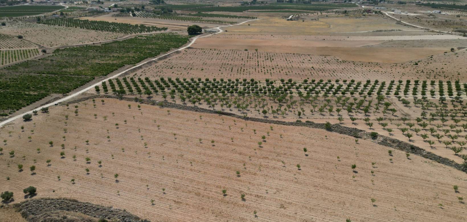 Revente - Grond - Pinoso  - Pinoso