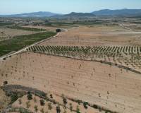 Revente - Grond - Pinoso  - Pinoso