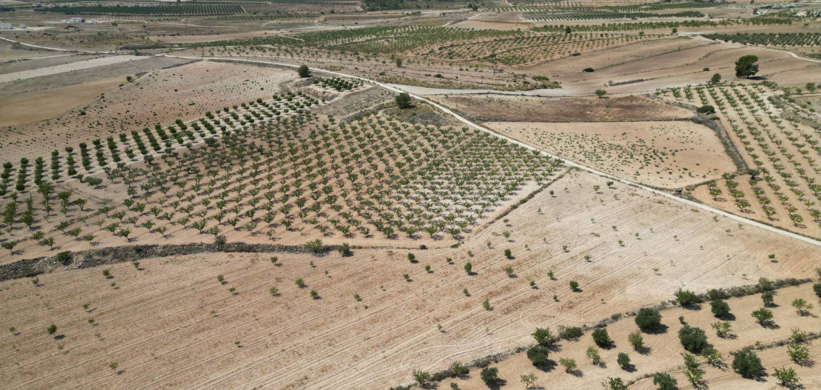 Revente - Grond - Pinoso  - Pinoso