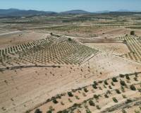 Revente - Grond - Pinoso  - Pinoso