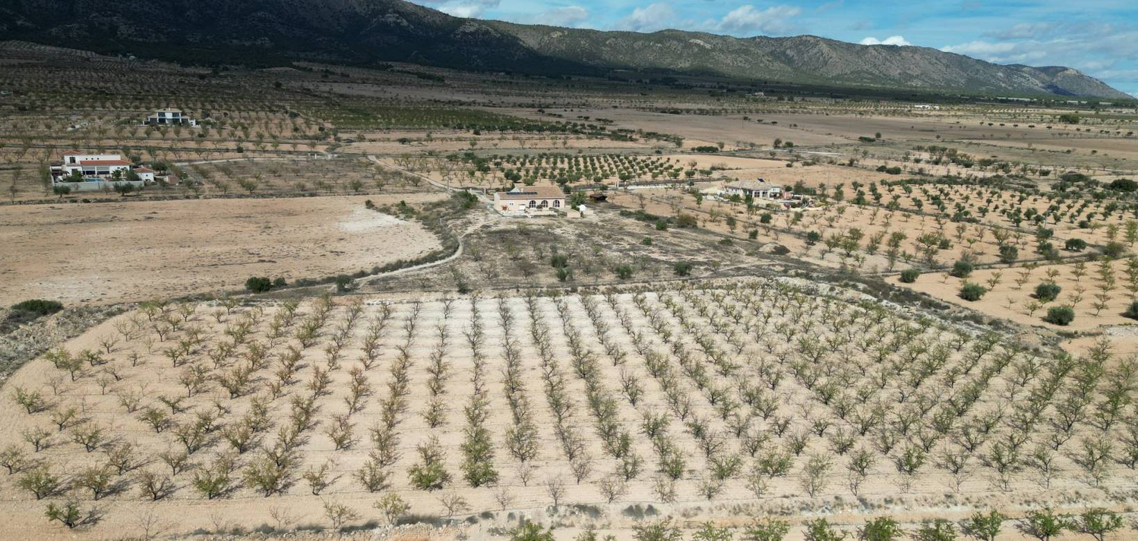 Revente - Grond - Pinoso  - Pinoso