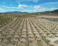 Revente - Grond - Pinoso  - Pinoso