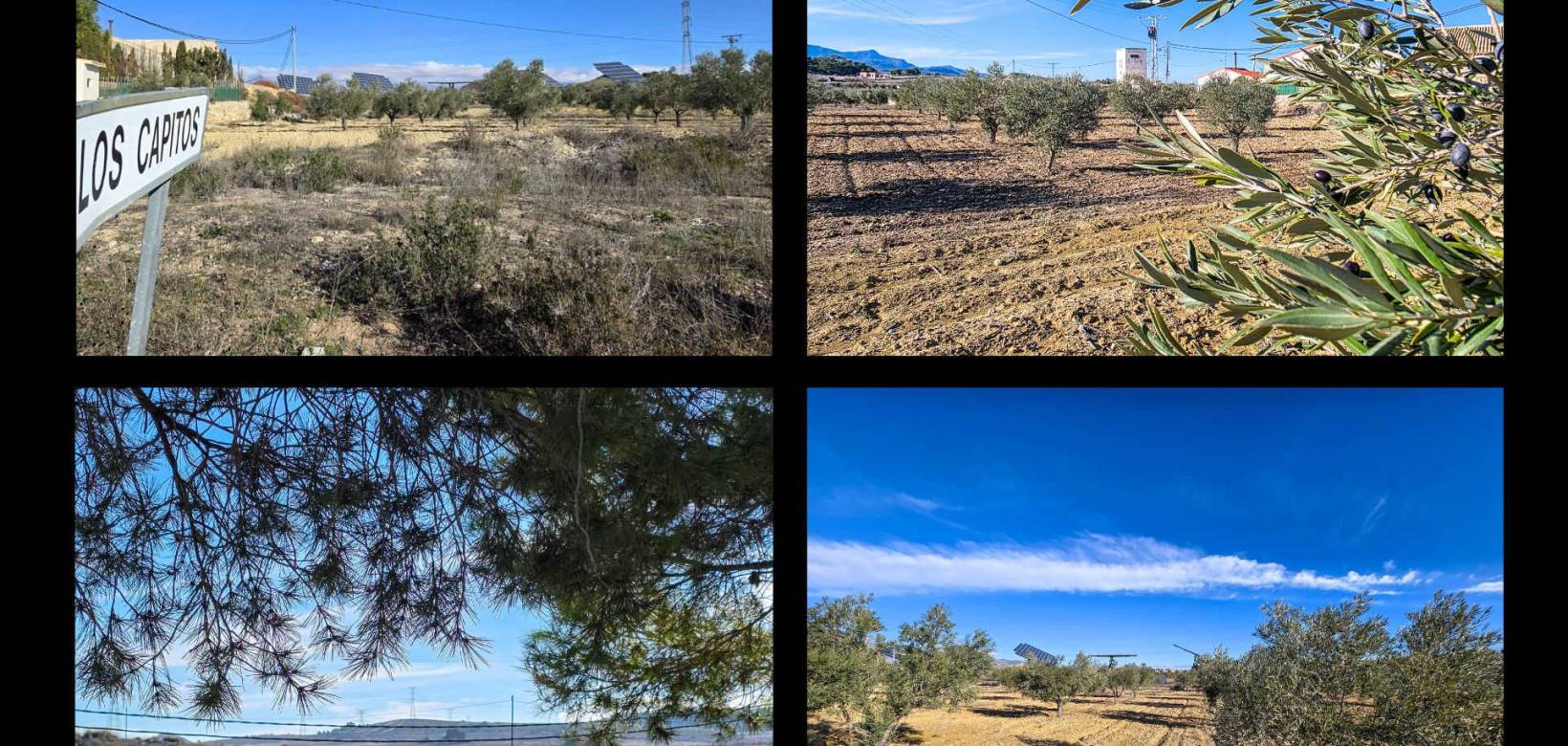 Revente - Herenhuis - Torre del Rico - Torre Del Rico