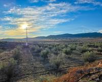 Revente - Herenhuis - Torre del Rico - Torre Del Rico