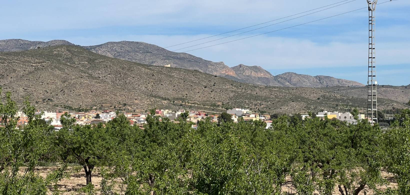 Revente -  - Hondón de los Frailes