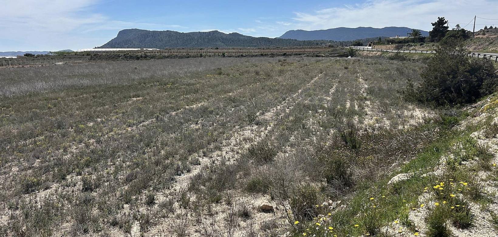 Revente - Land - Hondón de las Nieves
