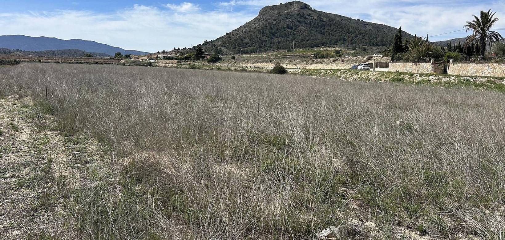 Revente - Land - Hondón de las Nieves