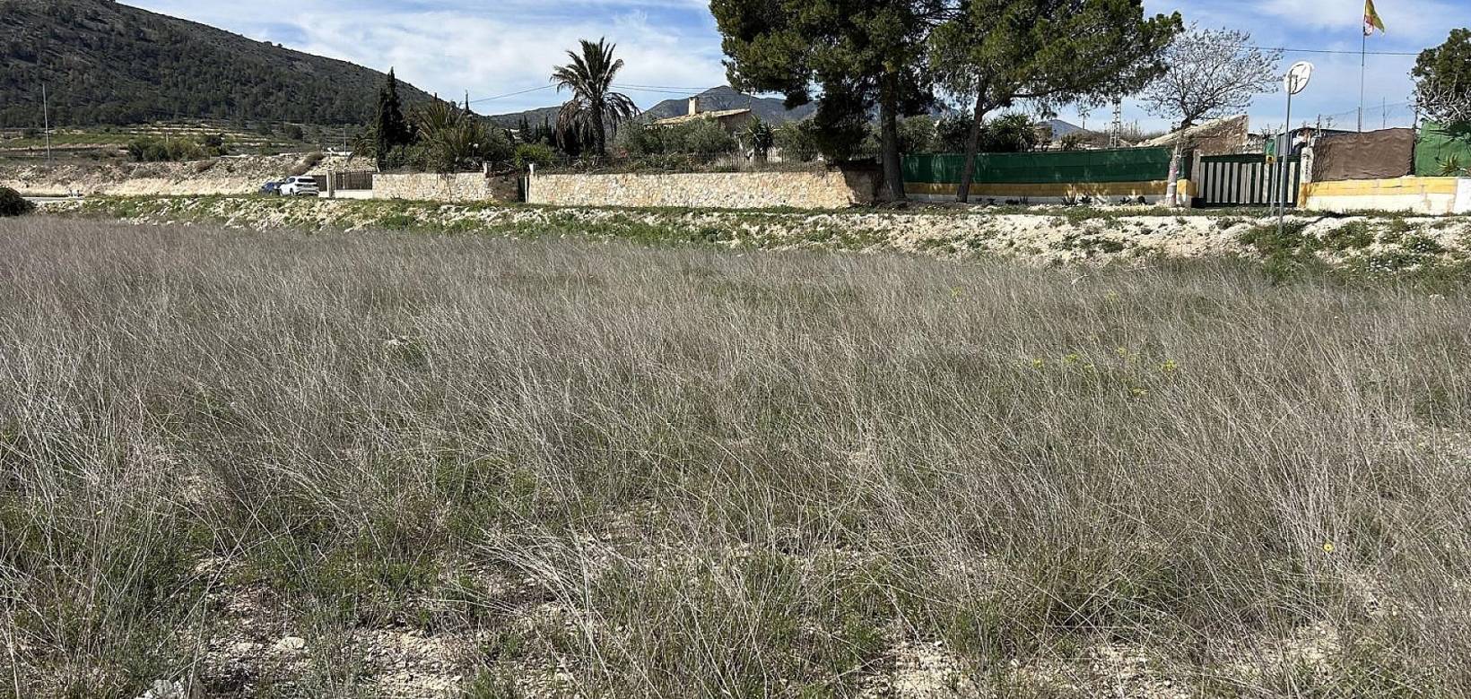 Revente - Land - Hondón de las Nieves