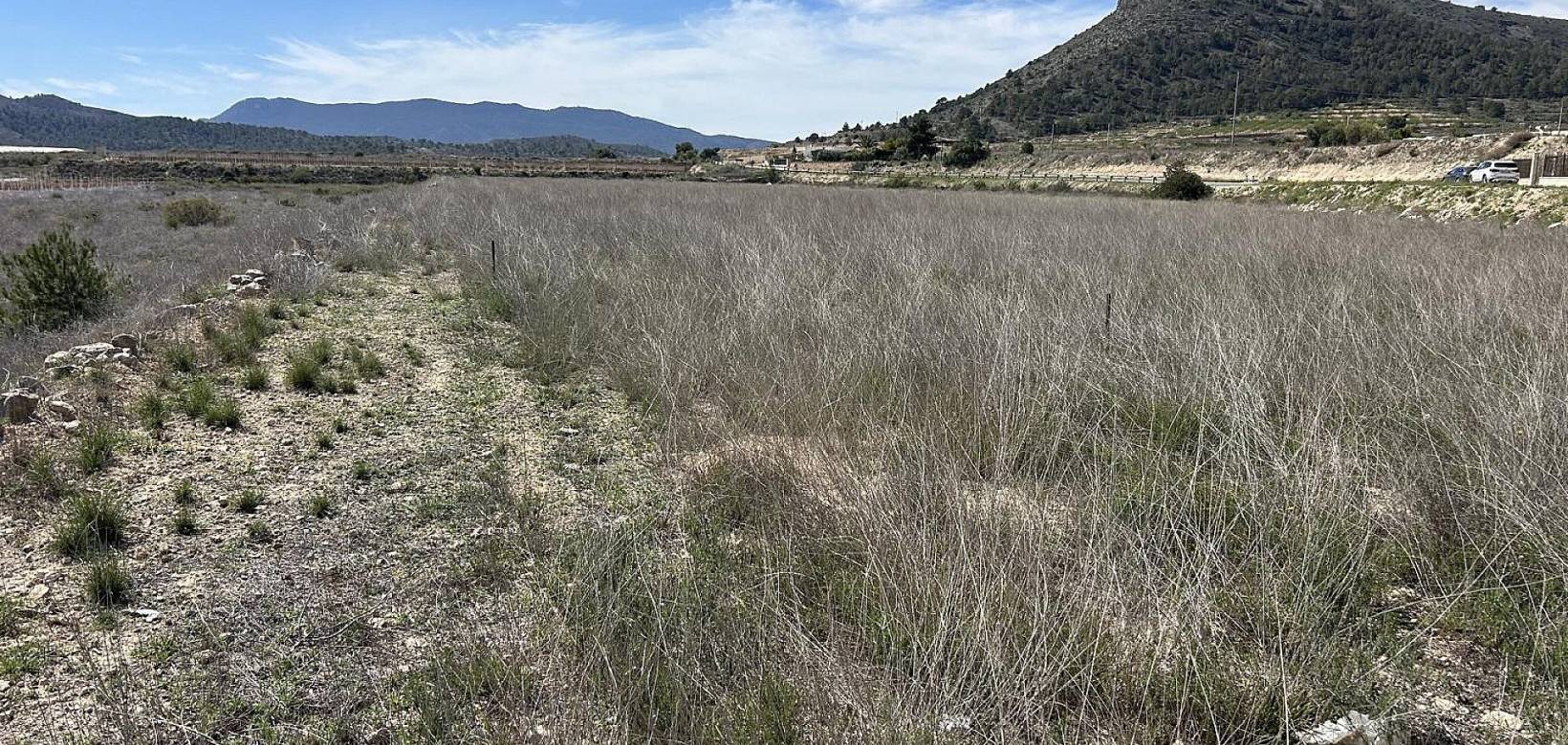 Revente - Land - Hondón de las Nieves