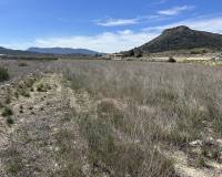 Revente - Land - Hondón de las Nieves