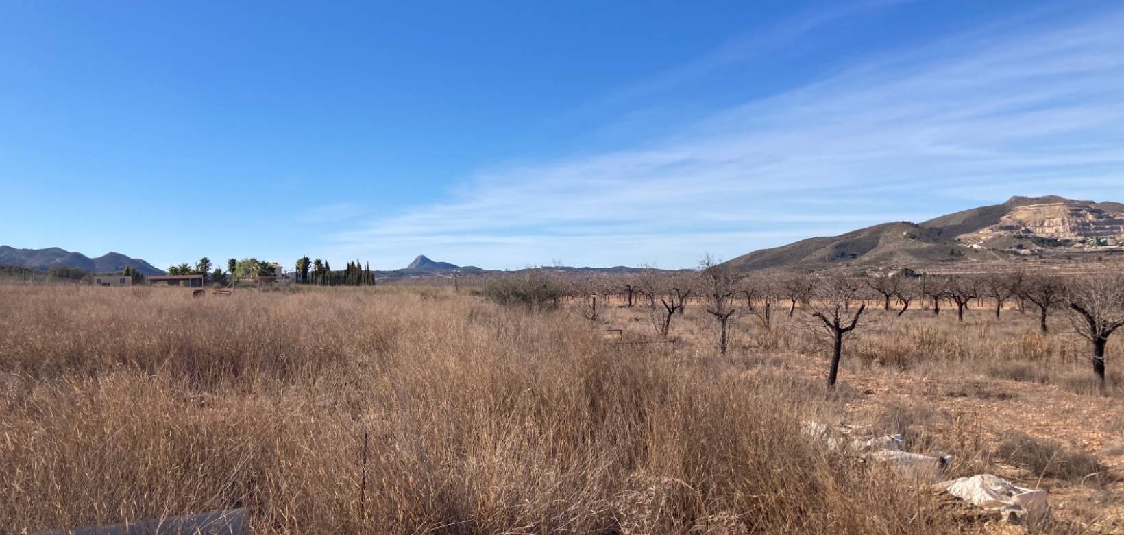 Revente - Land - Hondón de las Nieves