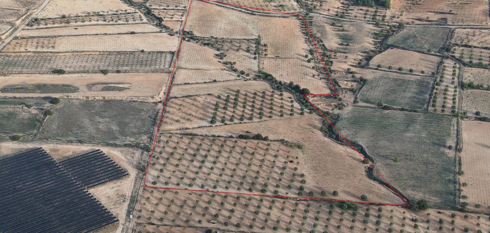 Revente - Land - Jumilla